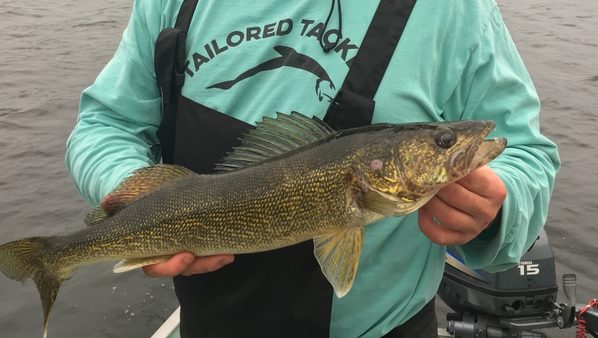 tailored tackle walleye fishing kit catch