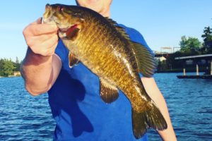bass-fishing-kit-smallmouth-tailored-tackle