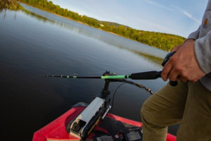Carolina Rig Fishing: How to Rig a Carolina Rig