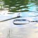 How To Use A Fishing Net: 10 Tips and Tricks